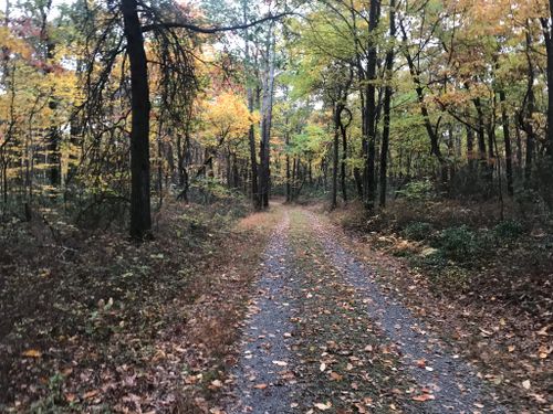 Best 10 Hikes And Trails In Weiser State Forest 