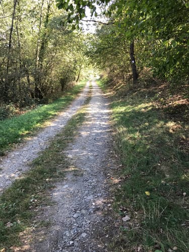 Hahnenweg