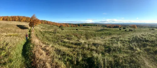 2023 Best Moderate Trails in Mulmur | AllTrails