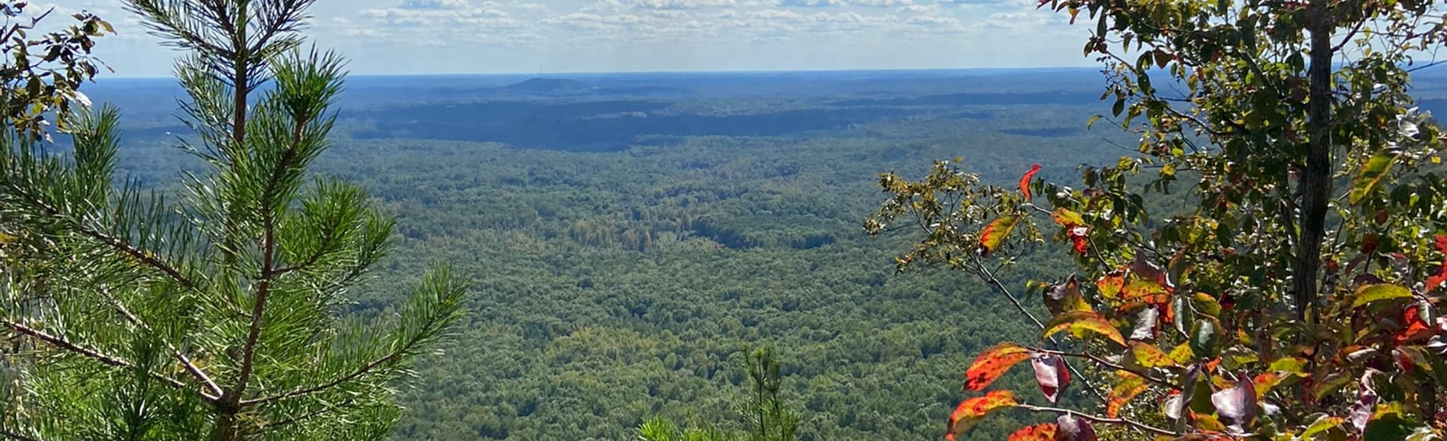 Crowders Mountain via Tower Trail and Backside Trail Loop, North