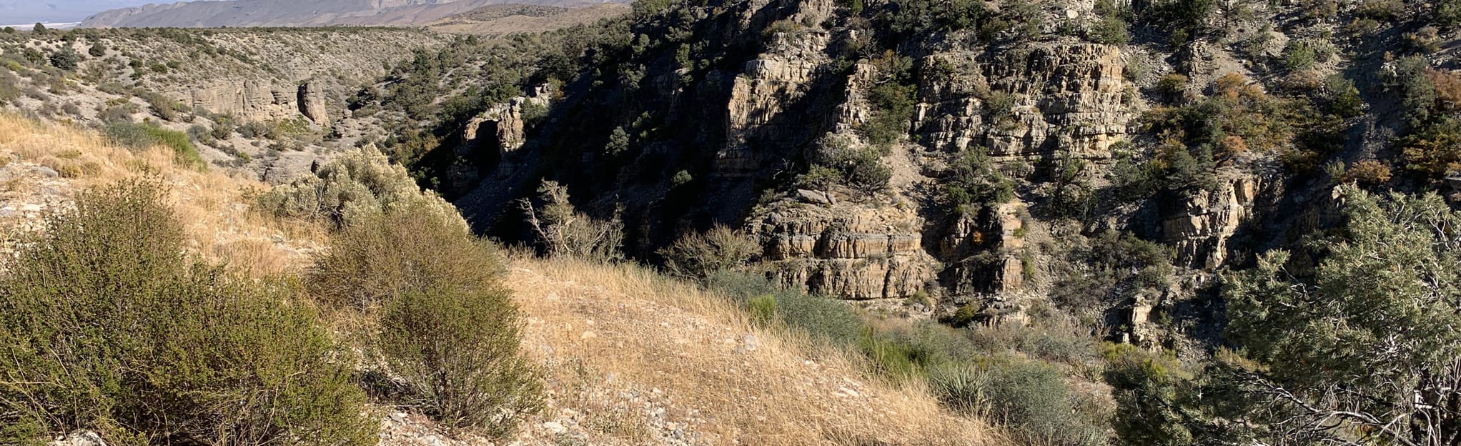 Cliff Rose Loop Trail, Nevada 12 Reviews, Map AllTrails
