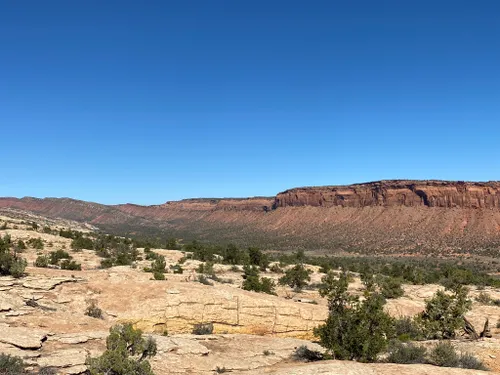 10 Best Off Road Driving Trails in Bears Ears National Monument | AllTrails