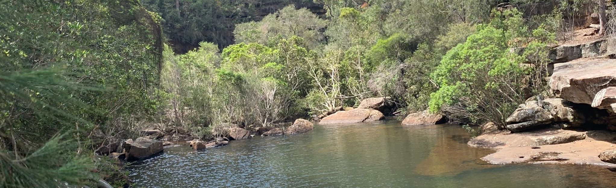 Stokes Creek Falls via 10b Trail 21 Reviews, Map New South Wales