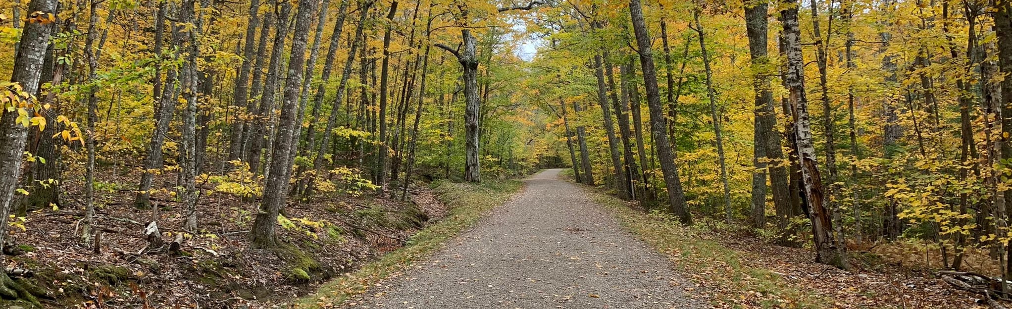 Zeke's Trail and Bald Rock Road 65 Reviews, Map Maine AllTrails