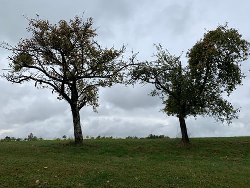 Rundweg Wart - Wenden