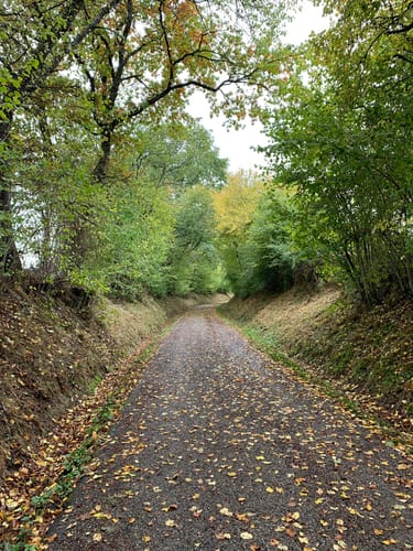 Rundweg Wart - Wenden