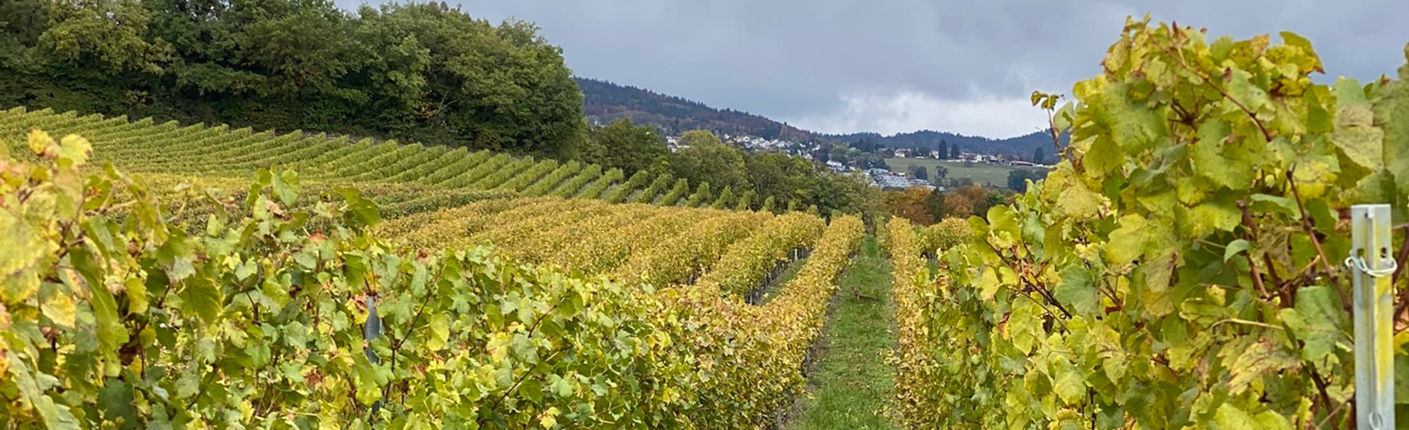 Genolier Circular 25 Reviews, Map Vaud, Switzerland AllTrails