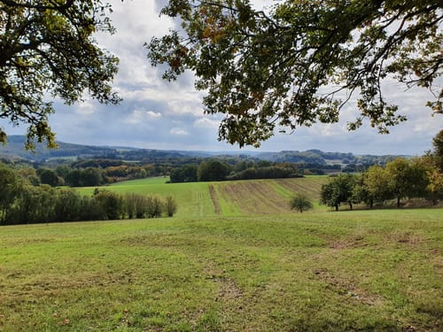 Rund um Hasborn-Dautweiler