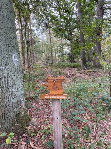 Rund um den Hiltruper See