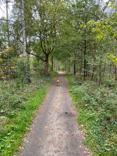Rund um den Hiltruper See
