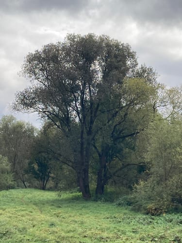 Von Weinstadt nach Schorndorf 