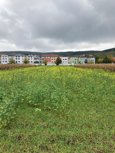 Von Weinstadt nach Schorndorf 