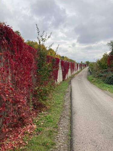 Von Weinstadt nach Schorndorf 