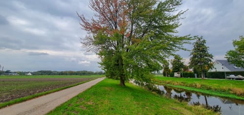Entlang der Niers