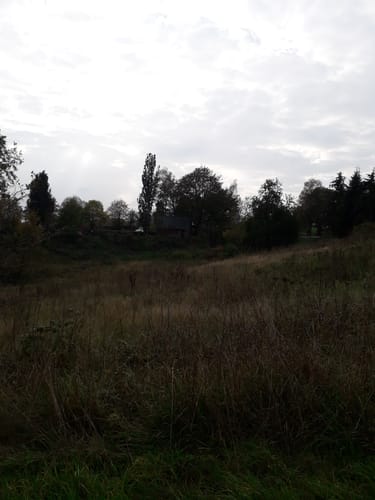 Binscheid (Naturpark Südeifel Wanderweg Nr. 11)