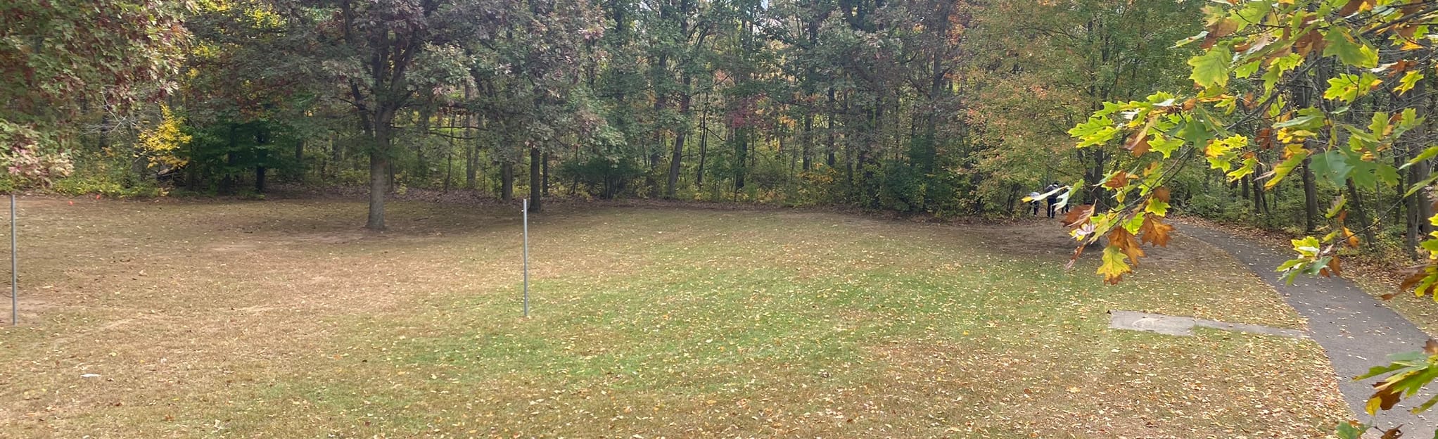 Madeline Bertrand Green Trail 148 Reviews, Map Michigan AllTrails