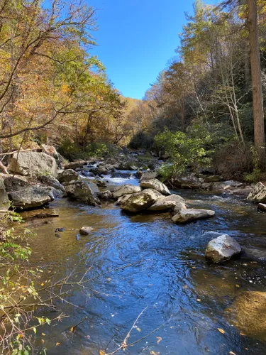 Best Hikes and Trails in Bottom Creek Gorge Preserve | AllTrails