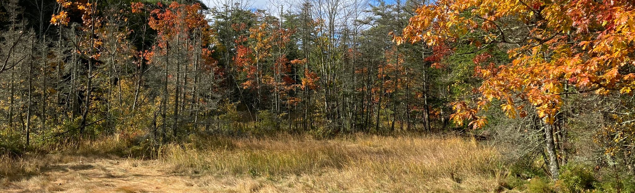 Falmouth Nature Preserve Perimeter Trail, Maine 195 Reviews, Map