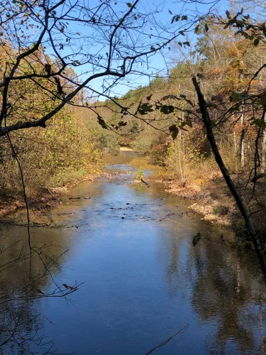 2023 Best Waterfall Trails in Mark Twain National Forest | AllTrails