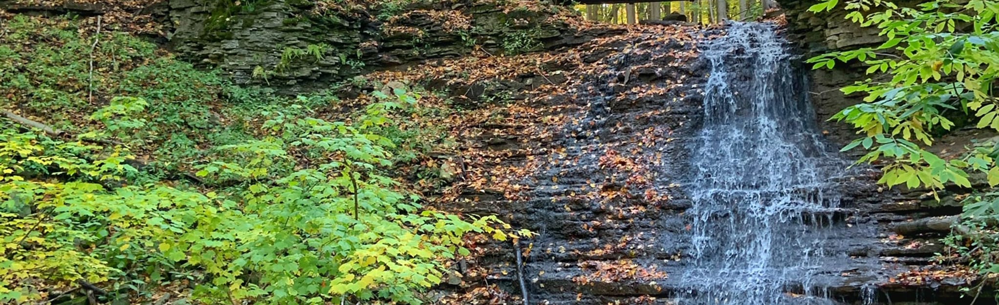 Canterbury Falls Sherman Falls Washboard Falls 1 995 foton Ontario, Kanada AllTrails