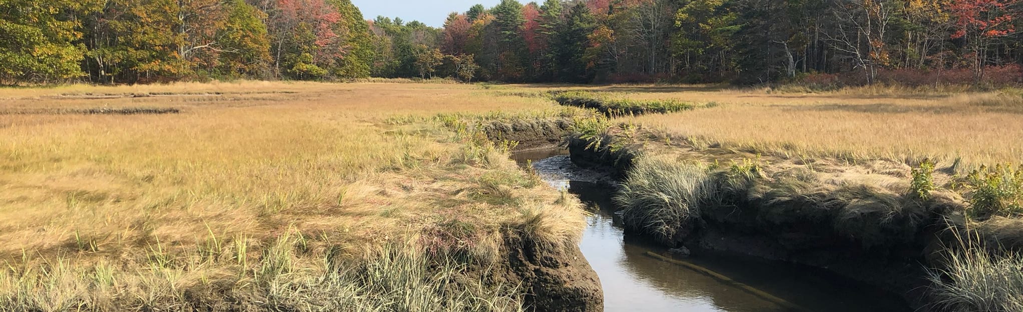 Kennebunk Bridle Path, Maine 300 Reviews, Map AllTrails