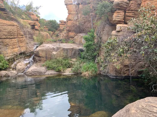 10 Must-Try Hiking Trails in Gauteng - Gauteng News