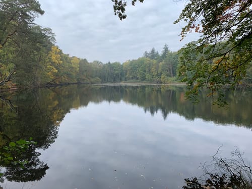 Stumpfwald: Billetsweiher - Ripperterhof