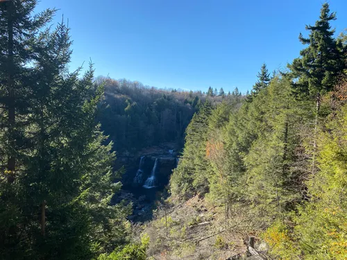 Blackwater falls state 2024 park hiking trails