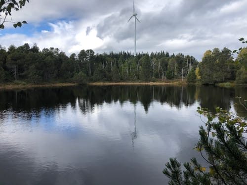 Runde zum Blindenmoor