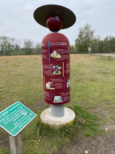 Teverneheide Kleiner Rundweg