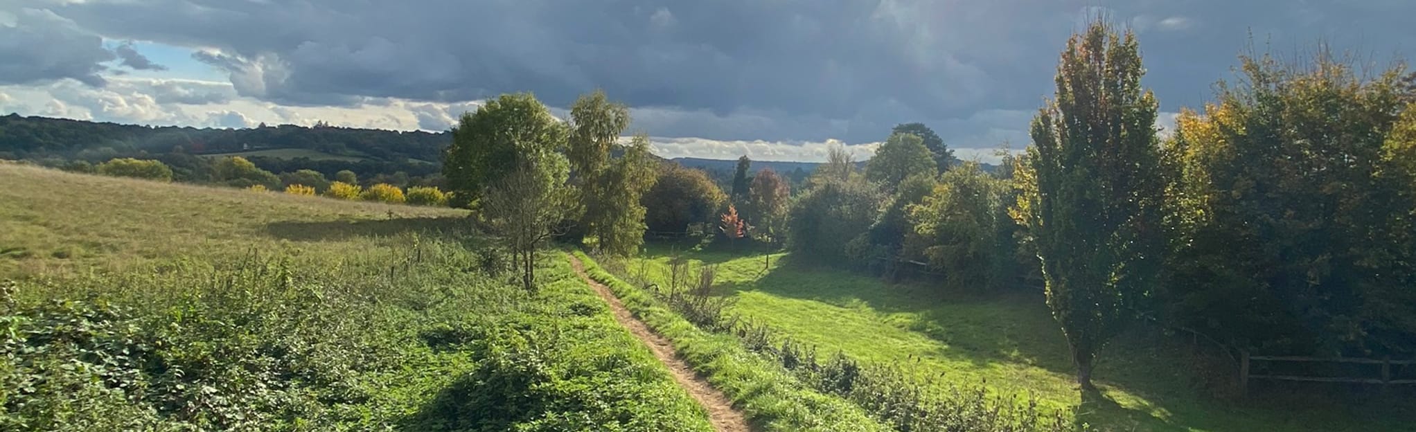 Shalford Three Peaks Circular, Surrey, England 418 Reviews, Map AllTrails