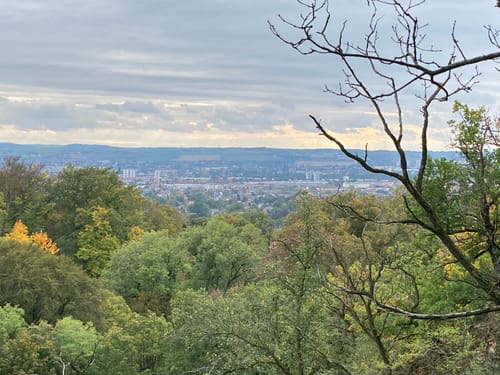 Dresdner Heide und Schlösser Ausblick