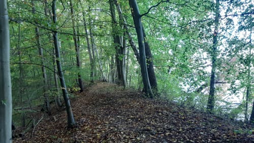 Lenz - Plauer See Rundwanderung