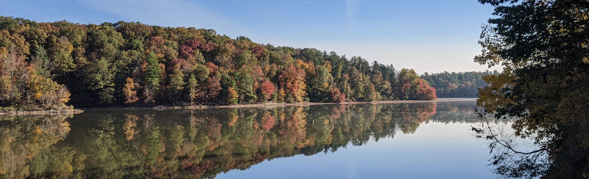 Lake Williams Loop Pennsylvania AllTrails