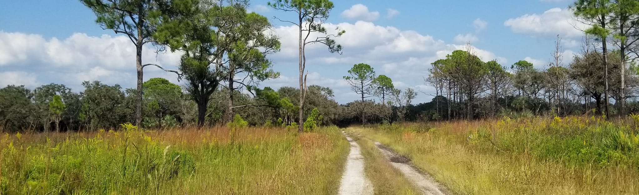 Honore Campsite to Bee Island Crosstrail Loop 35 Reviews, Map