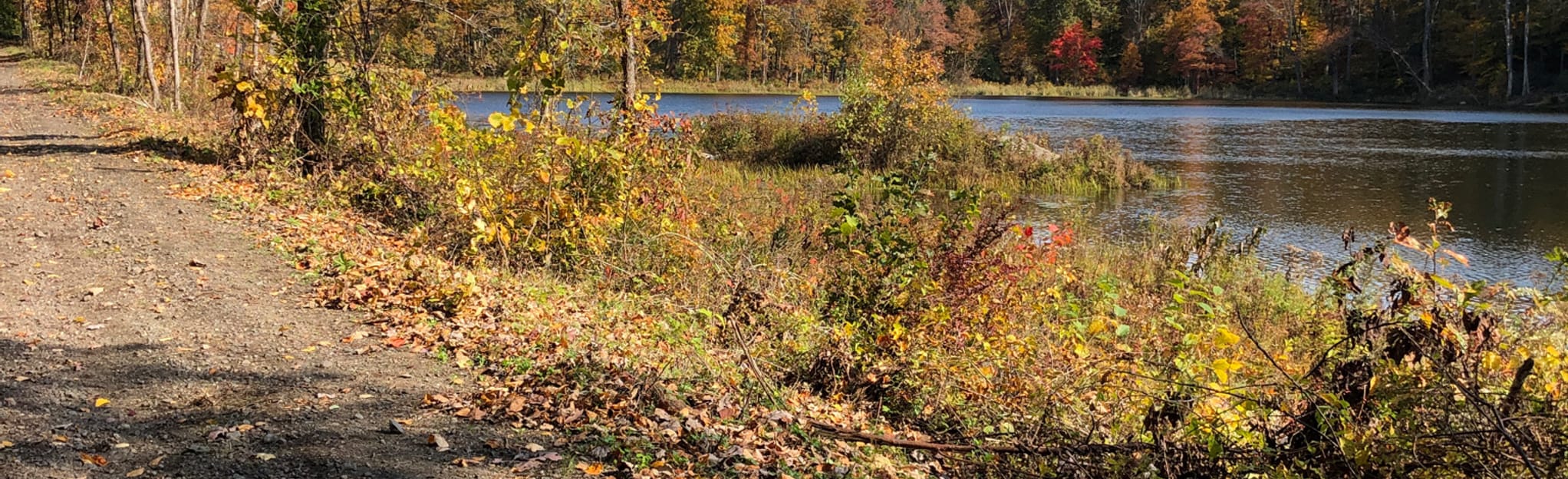 Egberts Lake and Swamp Trail, New Jersey 68 Reviews, Map AllTrails