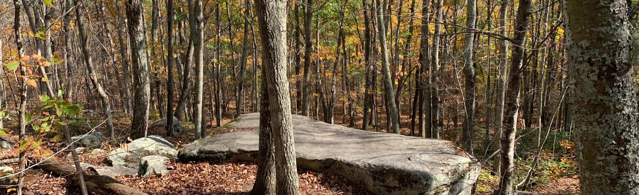 Table Rock Loop | Map, Guide - Connecticut | AllTrails