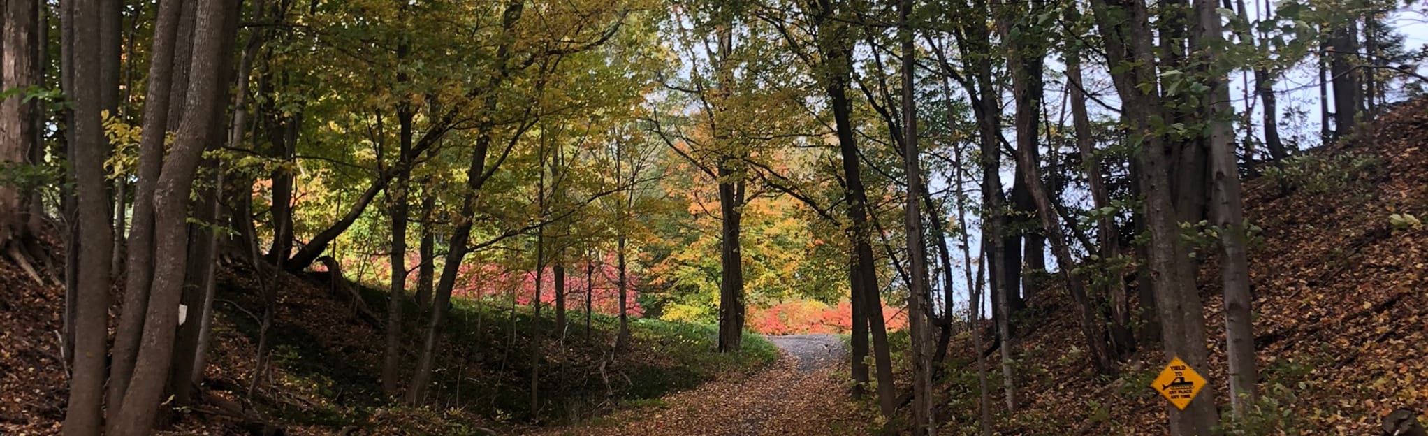 CatoFair Haven Trail, New York 30 Reviews, Map AllTrails
