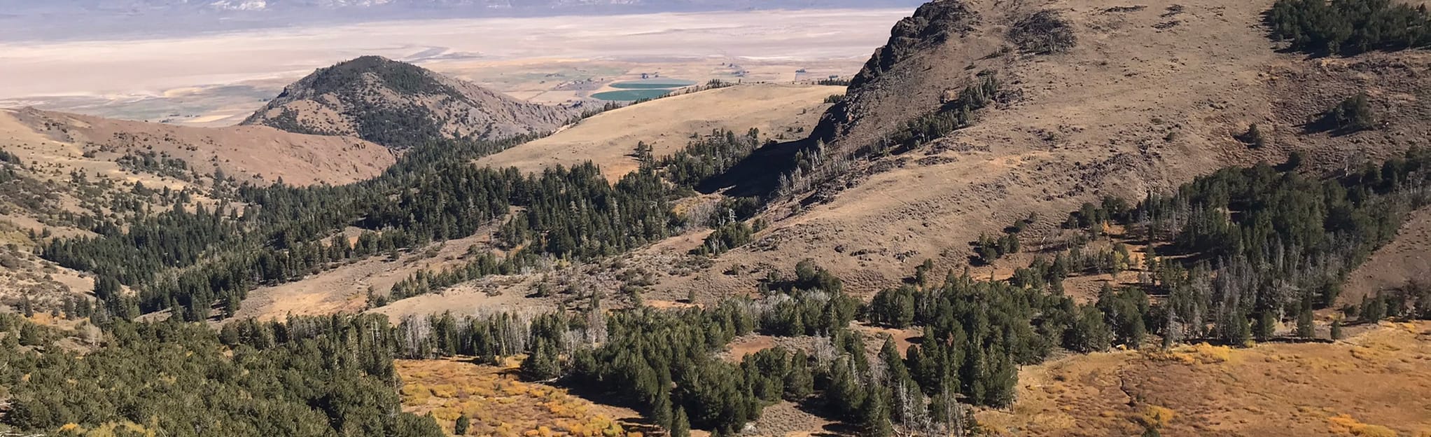 The Summit Trail from Pepperdine Trailhead to Patterson Lake