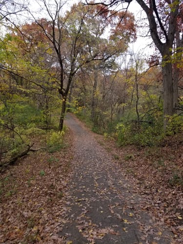 Theodore Wirth Hiking Trails Best 10 Trails In Theodore Wirth Park Alltrails