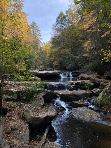 10 Best Hikes and Trails in Daniel Boone National Forest | AllTrails