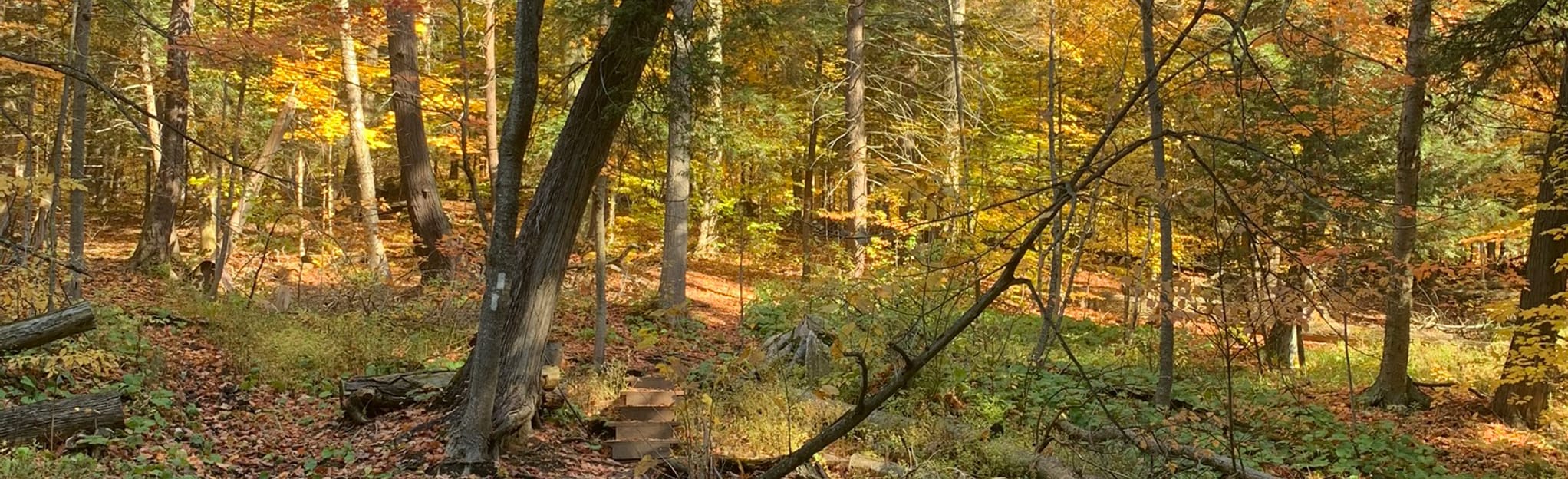 Palgrave via Bruce and Oak Ridges Trail , 330 Fotos Ontario, Canada