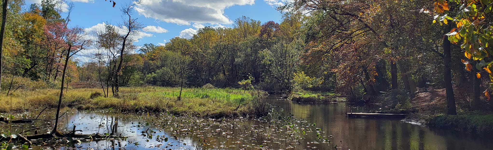 Mantua Creek Trail, New Jersey 669 Reviews, Map AllTrails