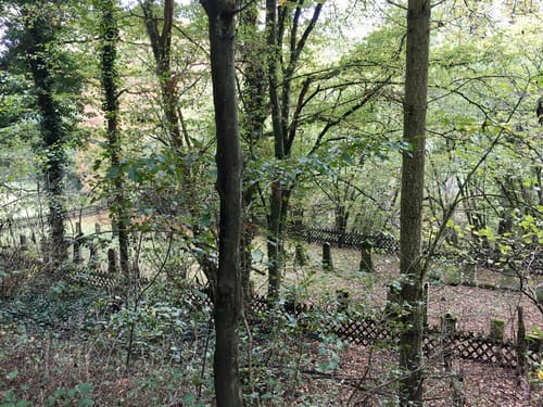 Premiumwanderweg: Traumschleife Stumm-Orgelweg