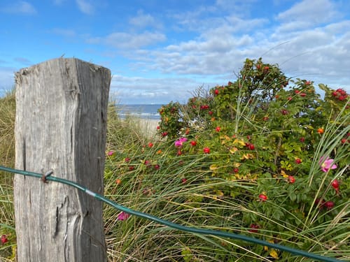 Wangerooge - Groden Rundwanderung