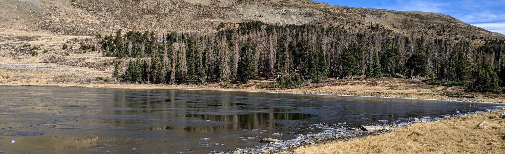 Middle Fork, North Fork and Horseshoe Lake New Mexico AllTrails
