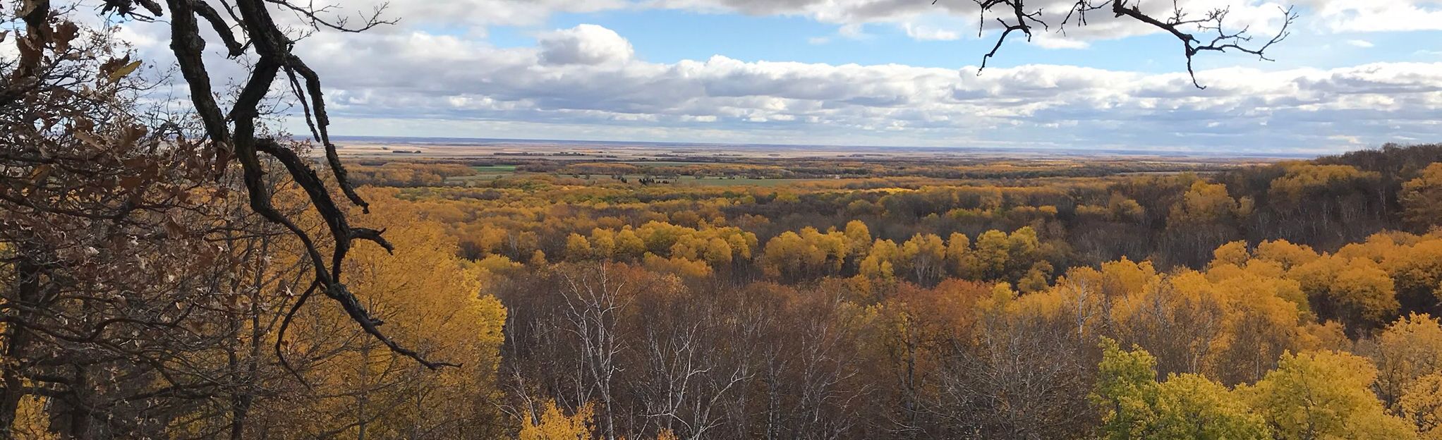 Reeve's Ravine and Bald Hill Loop: 101 Reviews, Map - Manitoba, Canada ...