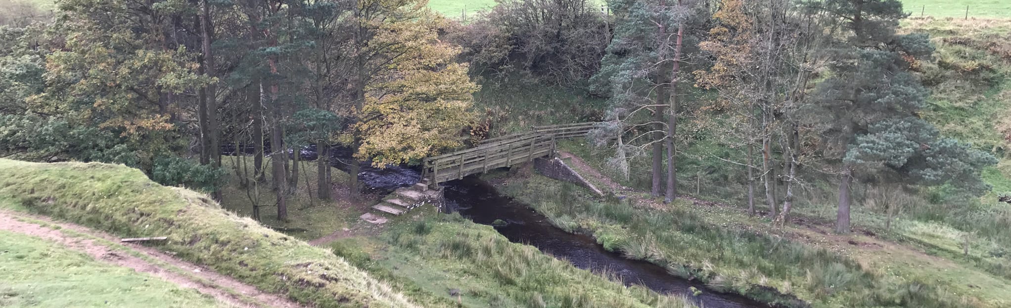 Snake Woodland, Bleaklow and Over Wood Moss, Derbyshire, England 10