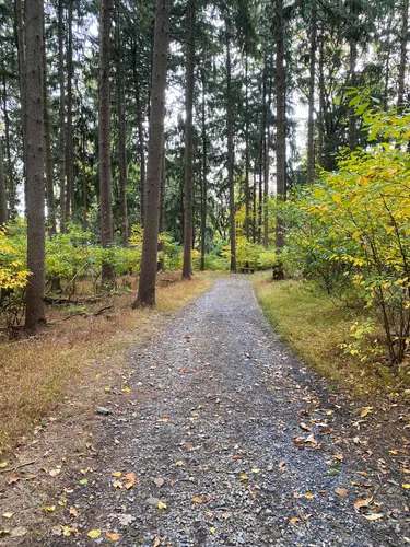 Best 10 Hiking Trails in Nolde - EyJidWNrZXQiOiJhc3NldHMuYWxsdHJhaWxzLmNvbSIsImtleSI6InVwbG9hZHMvcGhvdG8vaW1hZ2UvMzA3MzMxOTMvN2E1ZjNjZmVlZDgwNmU1OGYwYmMyZTcyZGVjZjM2MTcuanBnIiwiZWRpdHMiOnsidG9Gb3JtYXQiOiJ3ZWJwIiwicmVzaXplIjp7IndpZHRoIjo1MDAsImhlaWdodCI6NTAwLCJmaXQiOiJpbnNpZGUifSwicm90YXRlIjpudWxsLCJqcGVnIjp7InRyZWxsaXNRdWFudGlzYXRpb24iOnRydWUsIm92ZXJzaG9vdERlcmluZ2luZyI6dHJ1ZSwib3B0aW1pc2VTY2FucyI6dHJ1ZSwicXVhbnRpc2F0aW9uVGFibGUiOjN9fX0=