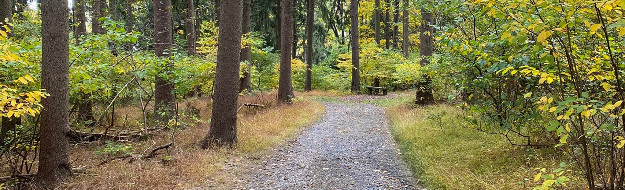 Boulevard Trail Loop Pennsylvania - EyJidWNrZXQiOiJhc3NldHMuYWxsdHJhaWxzLmNvbSIsImtleSI6InVwbG9hZHMvcGhvdG8vaW1hZ2UvMzA3MzMxOTMvN2E1ZjNjZmVlZDgwNmU1OGYwYmMyZTcyZGVjZjM2MTcuanBnIiwiZWRpdHMiOnsidG9Gb3JtYXQiOiJqcGVnIiwicmVzaXplIjp7IndpZHRoIjoyMDQ0LCJoZWlnaHQiOjYyNCwiZml0IjoiY292ZXIifSwicm90YXRlIjpudWxsLCJqcGVnIjp7InRyZWxsaXNRdWFudGlzYXRpb24iOnRydWUsIm92ZXJzaG9vdERlcmluZ2luZyI6dHJ1ZSwib3B0aW1pc2VTY2FucyI6dHJ1ZSwicXVhbnRpc2F0aW9uVGFibGUiOjN9fX0=